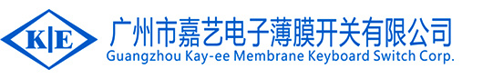 国产嫩骚逼